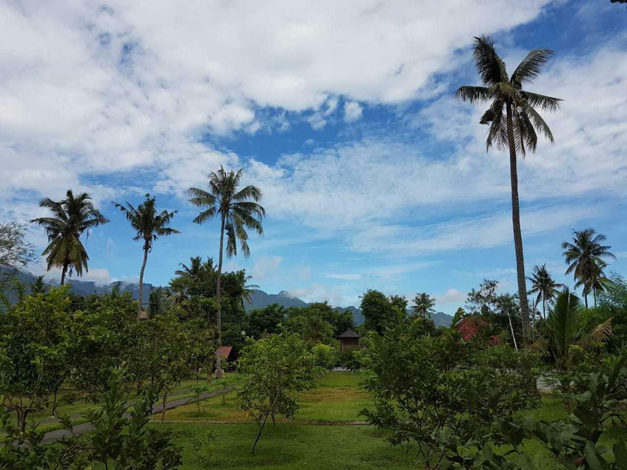 Buana Ecofarm Ecolodge Grokgak Bagian luar foto