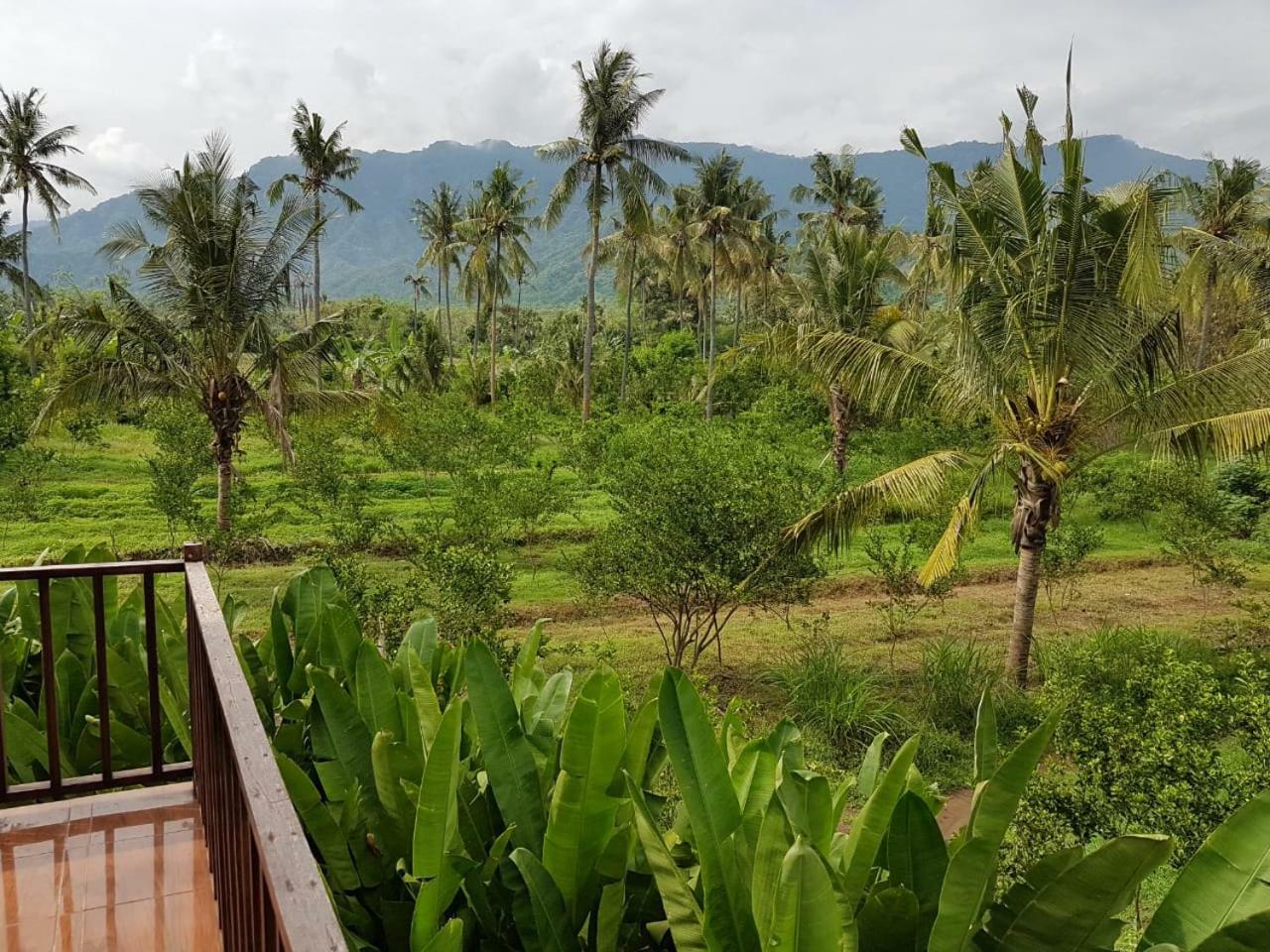 Buana Ecofarm Ecolodge Grokgak Bagian luar foto