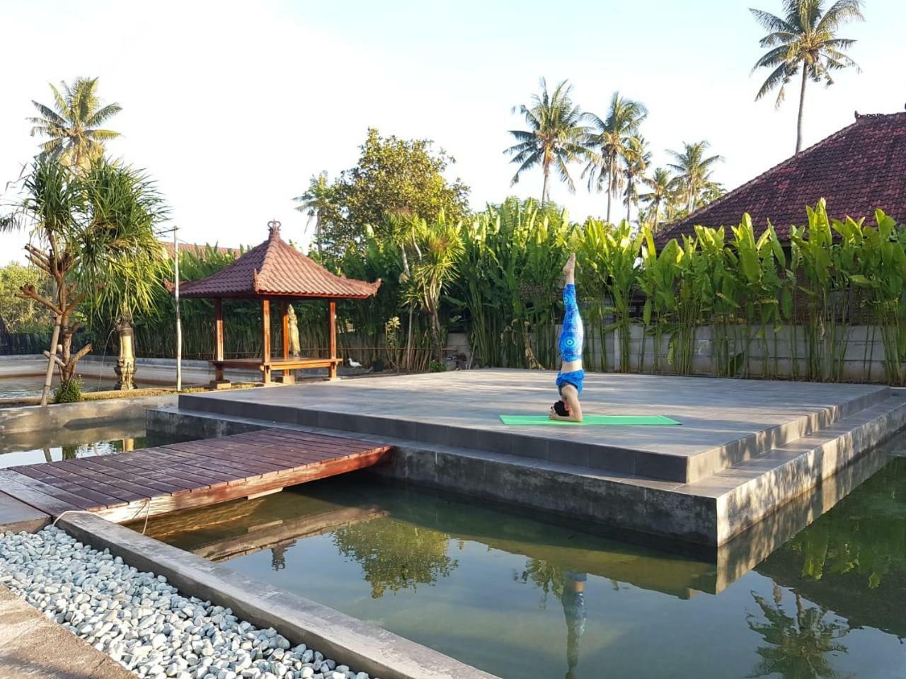 Buana Ecofarm Ecolodge Grokgak Bagian luar foto