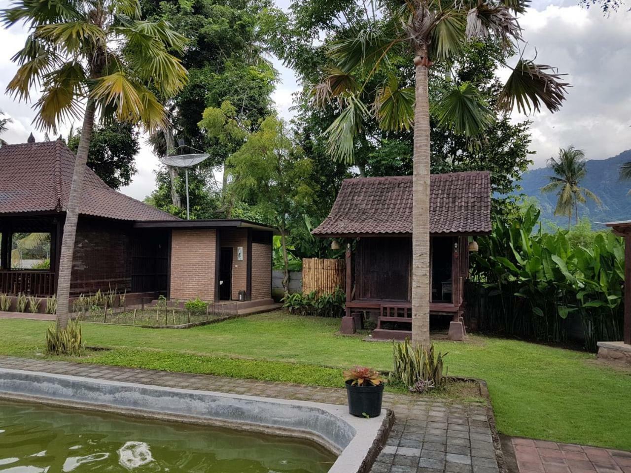 Buana Ecofarm Ecolodge Grokgak Bagian luar foto