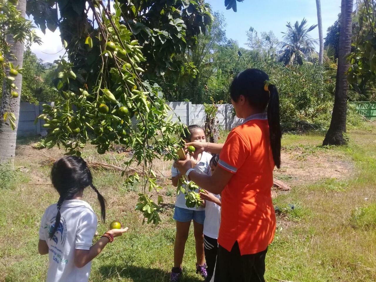 Buana Ecofarm Ecolodge Grokgak Bagian luar foto