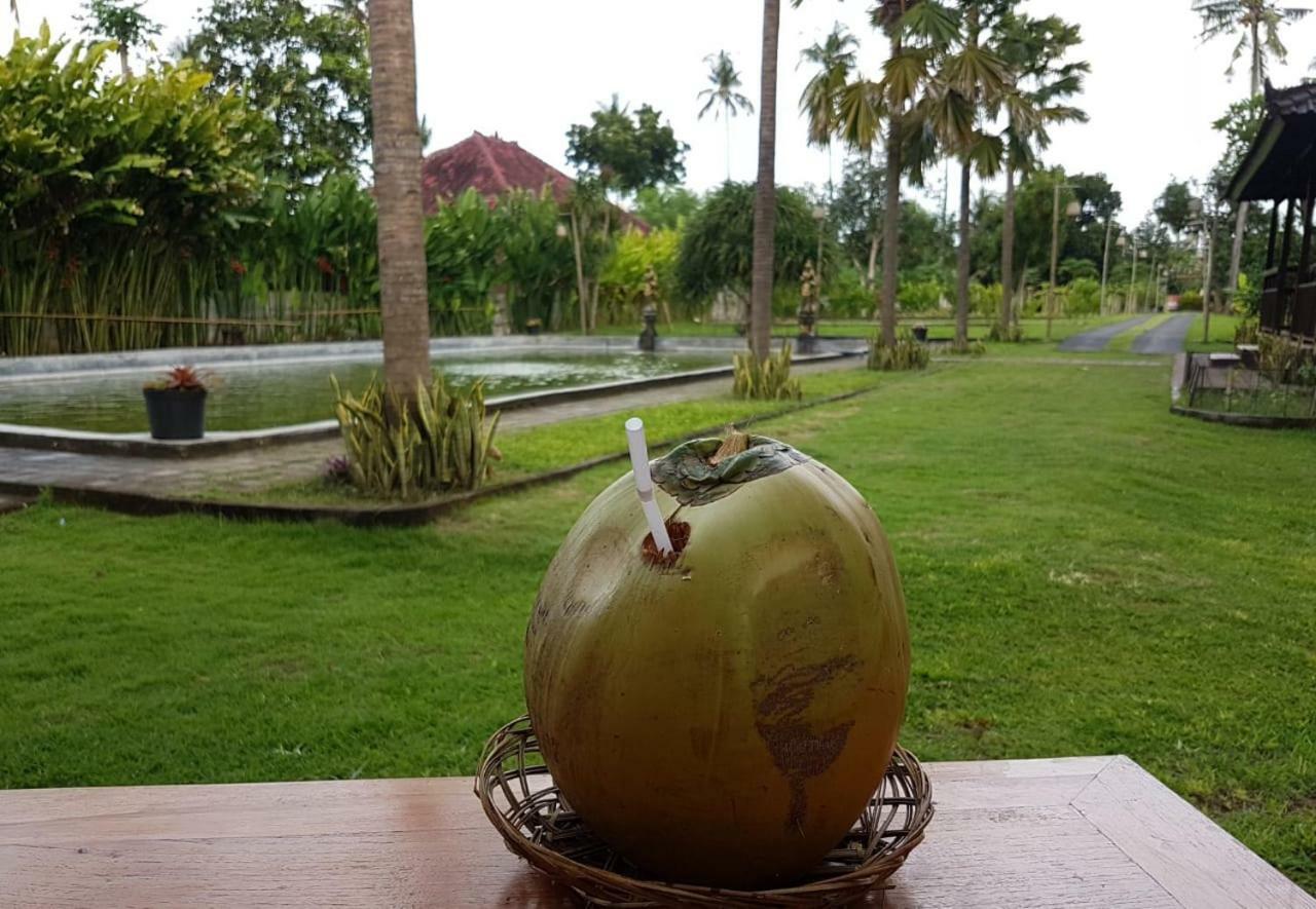 Buana Ecofarm Ecolodge Grokgak Bagian luar foto
