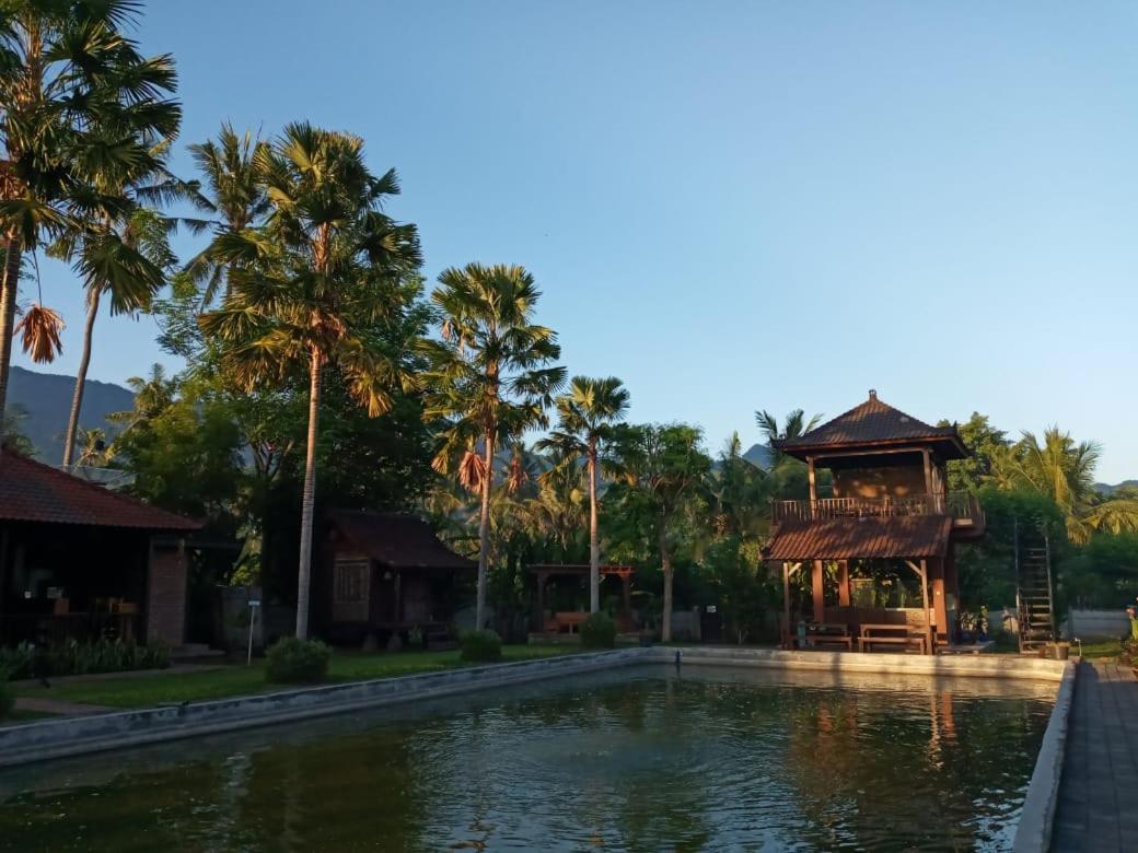 Buana Ecofarm Ecolodge Grokgak Bagian luar foto